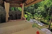 Hotel Tjampuhan And Spa Ubud Esterno foto